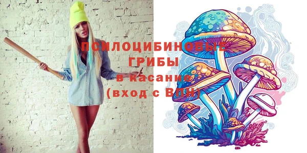 МДПВ Новозыбков