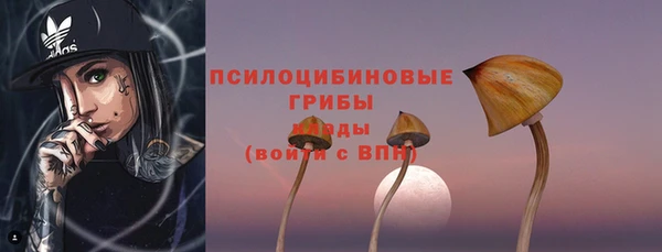 мескалин Новодвинск