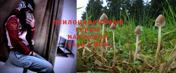 мдпв Нея