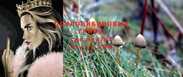мескалин Новодвинск