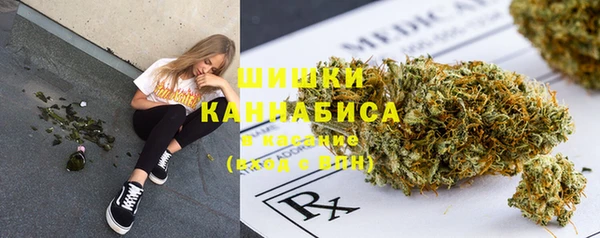 МДПВ Новозыбков