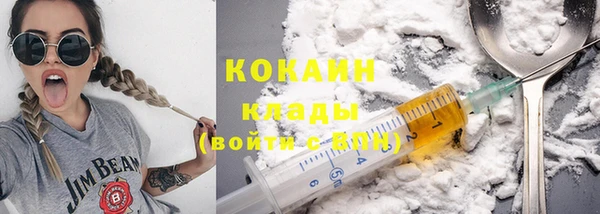 МДПВ Новозыбков