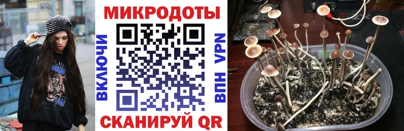 Галлюциногенные грибы GOLDEN TEACHER  купить закладку  Кирс 